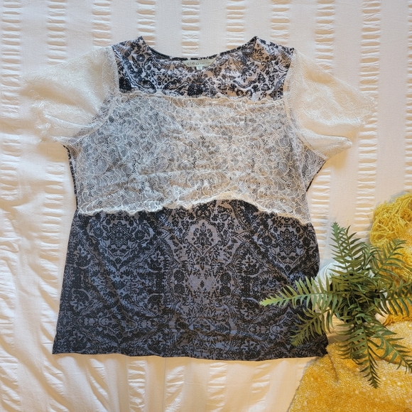 Cleo Petites Lace/Ombre Shirt - Picture 1 of 6